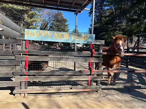 中央看板作成1218 (4)