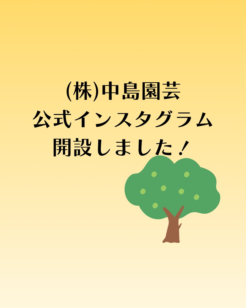 トピックス (20)